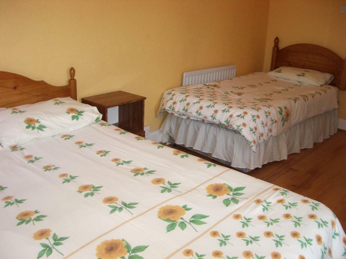 باليكاسل Castle Hostel المظهر الخارجي الصورة